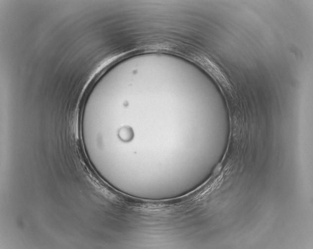 X0000115541036200911201735