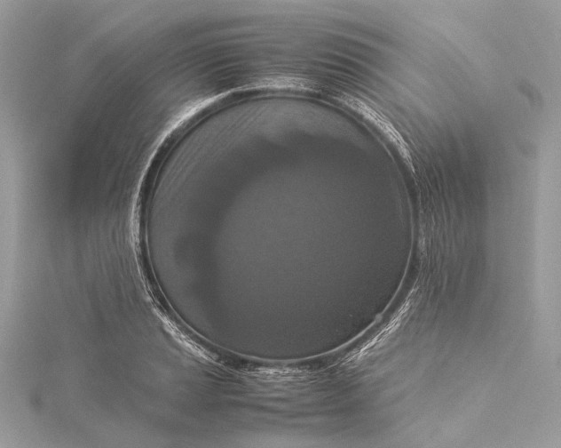 X0000115541037200911201735