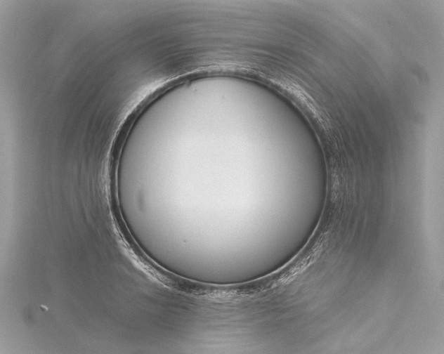 X0000115541038200911201735