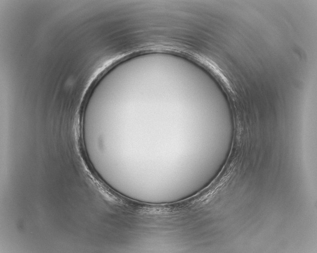 X0000115541040200911201735