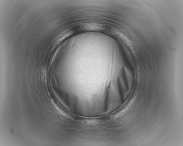 X0000115541041200911201736