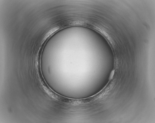 X0000115541042200911201736