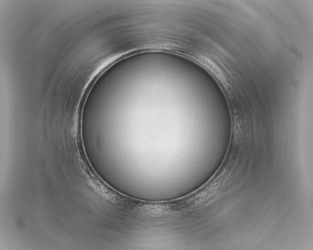 X0000115541044200911201736