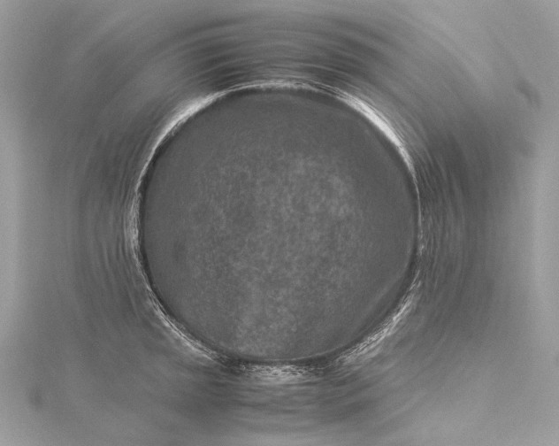 X0000115541045200911201736