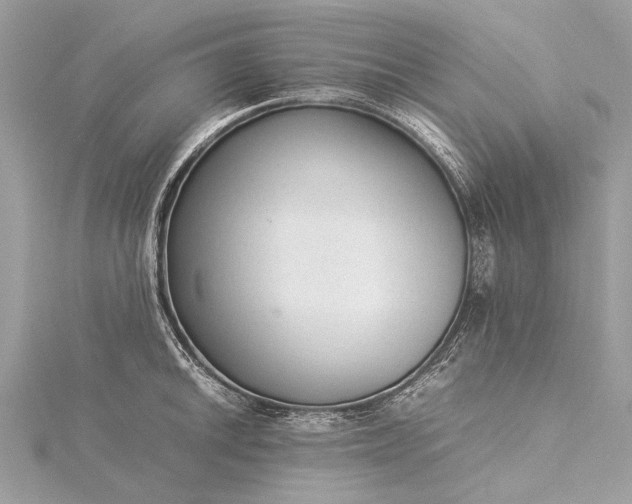 X0000115541046200911201736