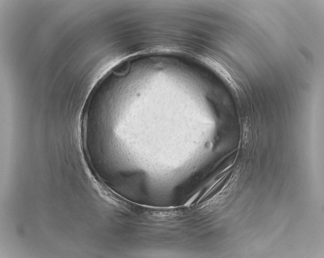 X0000115541047200911201736