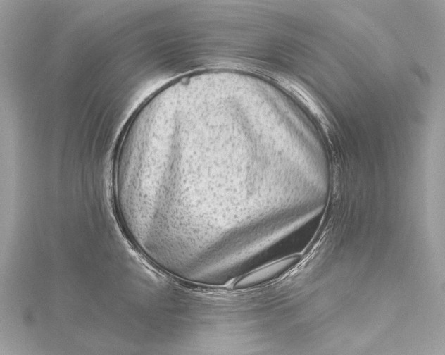 X0000115541048200911201736