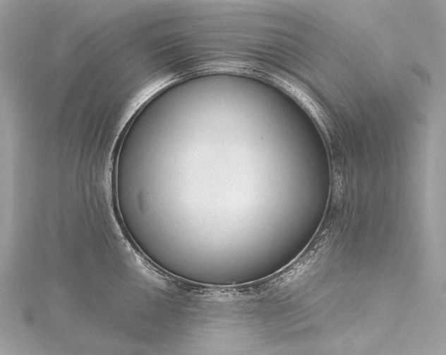 X0000115541050200911201736