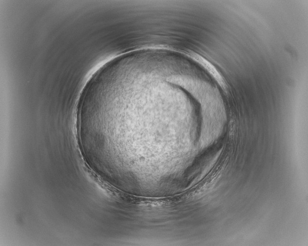 X0000115541051200911201736