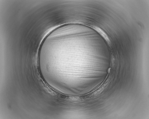 X0000115541052200911201736