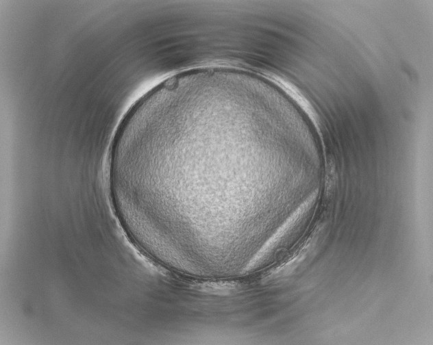 X0000115541053200911201736