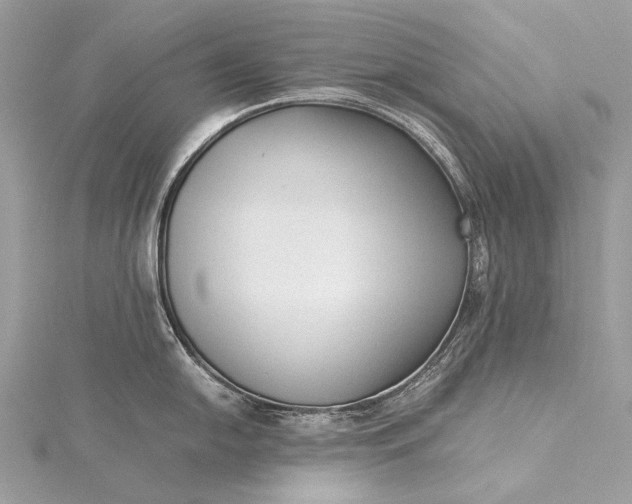 X0000115541054200911201736