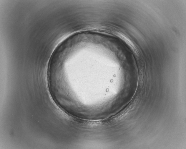 X0000115541055200911201736