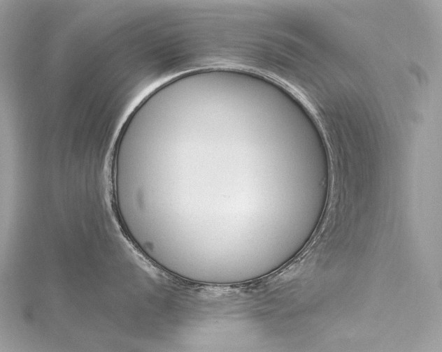 X0000115541056200911201736