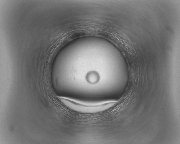 X0000115541057200911201735