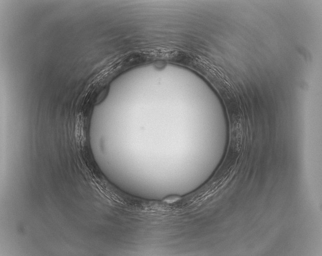 X0000115541058200911201735