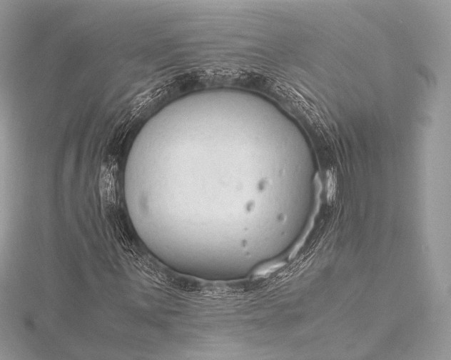 X0000115541059200911201735