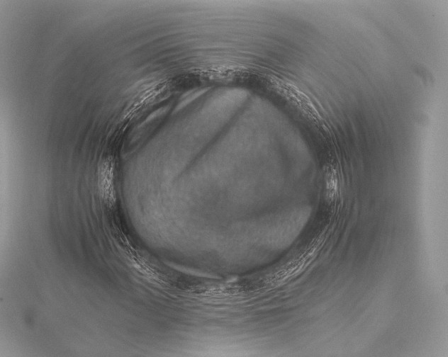 X0000115541060200911201735