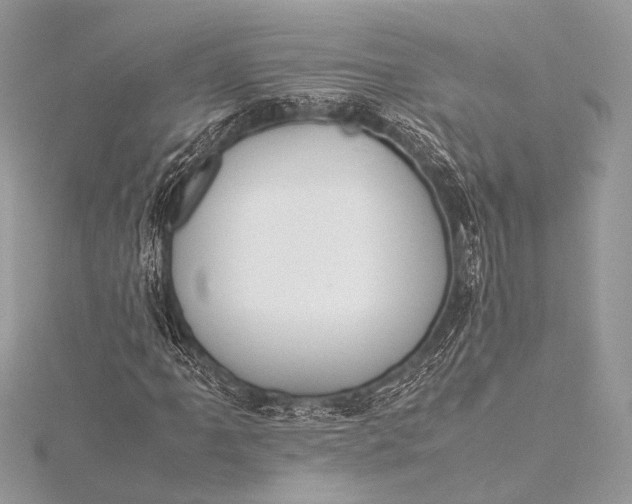 X0000115541061200911201735