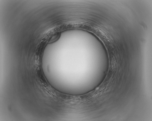 X0000115541062200911201735