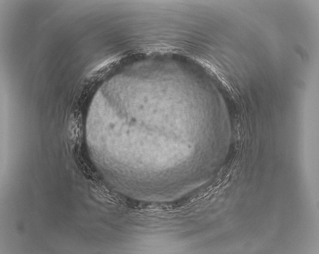 X0000115541063200911201735