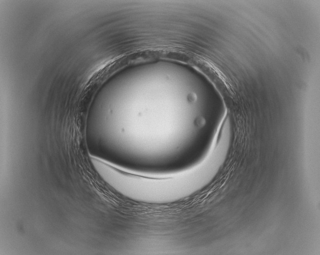 X0000115541064200911201735