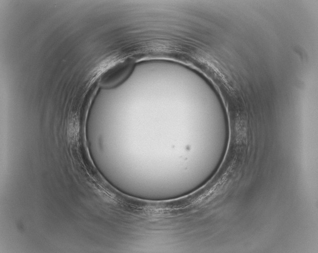 X0000115541065200911201735