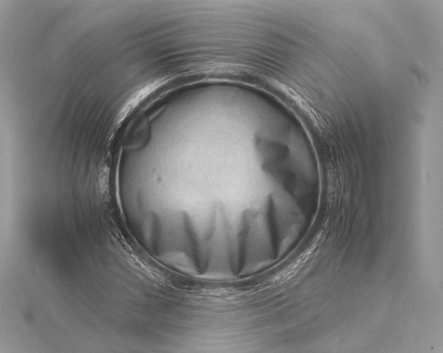 X0000115541066200911201735