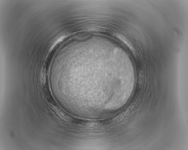 X0000115541067200911201735