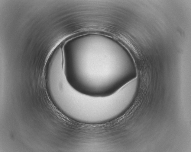 X0000115541068200911201735