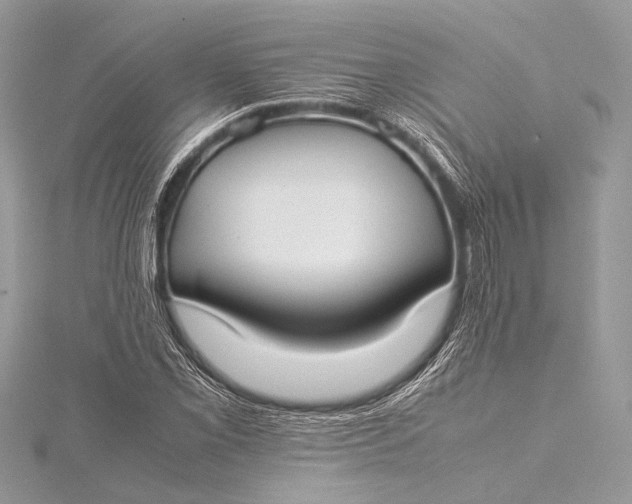 X0000115541069200911201735