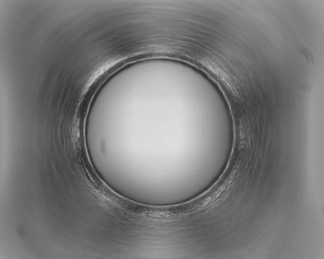 X0000115541070200911201735