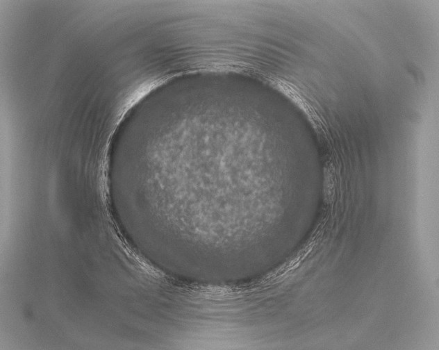 X0000115541071200911201735