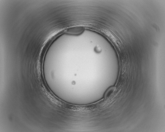 X0000115541072200911201735