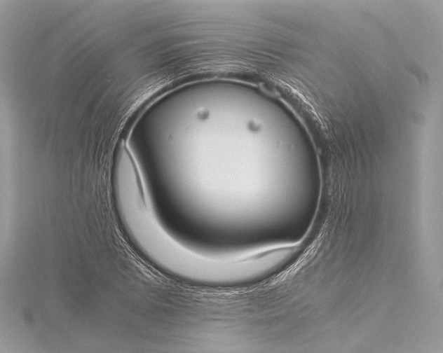 X0000115541073200911201735