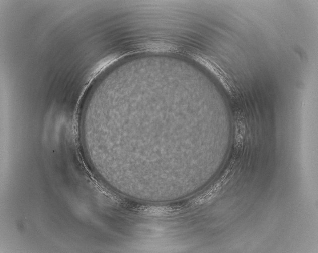 X0000115541074200911201735