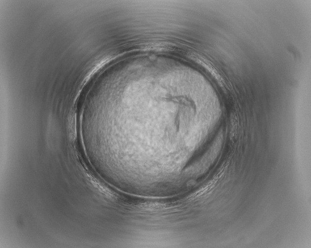 X0000115541075200911201735