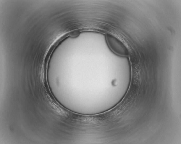 X0000115541076200911201735