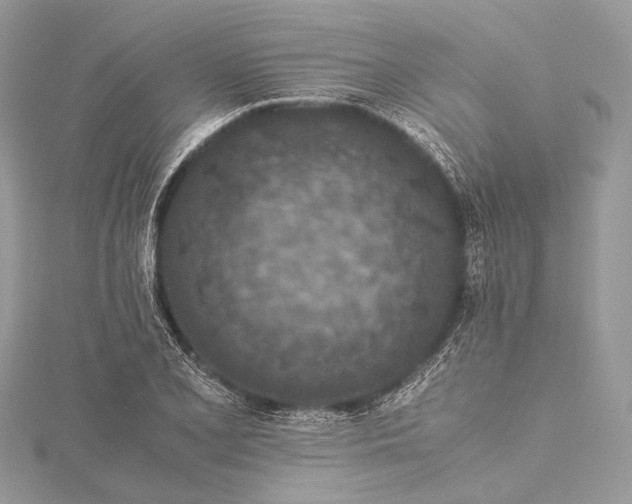 X0000115541077200911201735