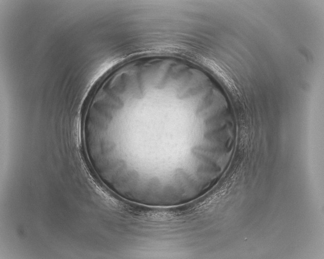 X0000115541079200911201735