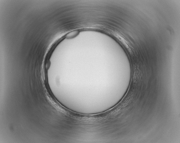 X0000115541080200911201735