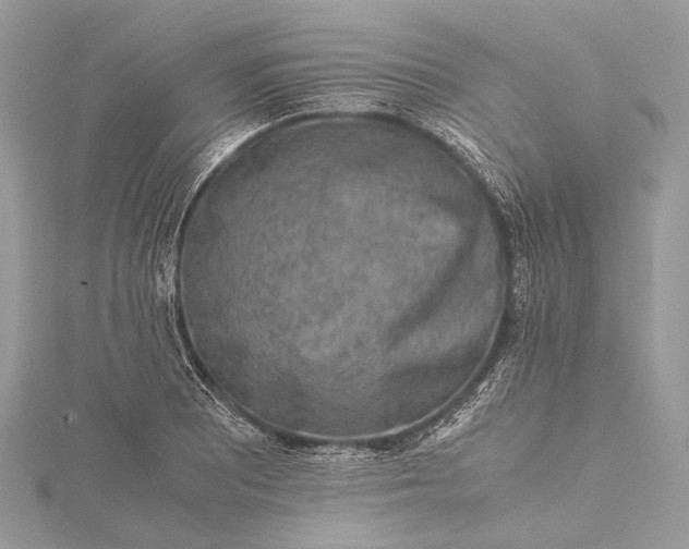 X0000115541081200911201735