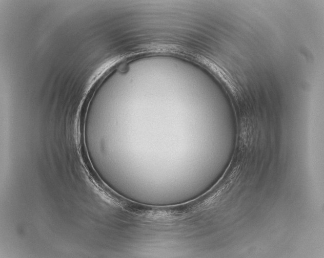 X0000115541082200911201735