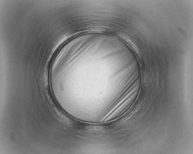 X0000115541083200911201735