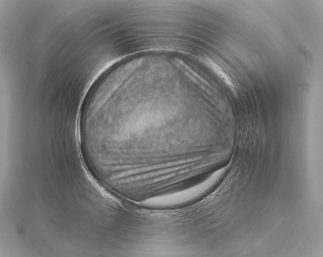 X0000115541084200911201735