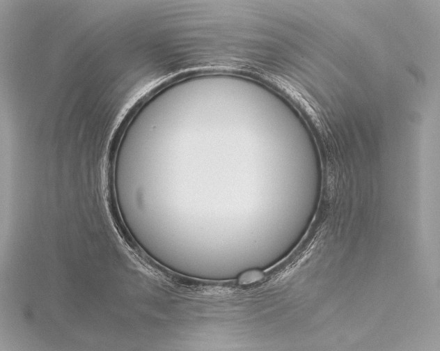 X0000115541085200911201735