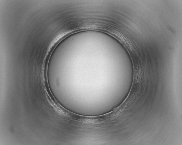 X0000115541086200911201735