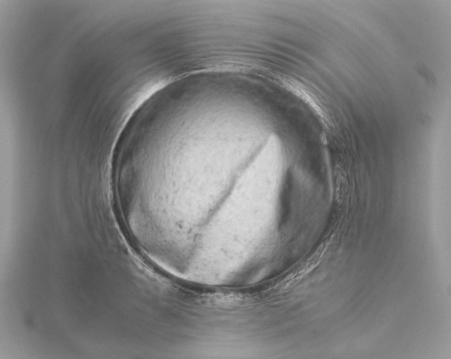 X0000115541087200911201735