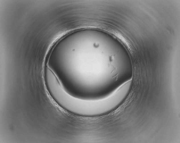 X0000115541088200911201735