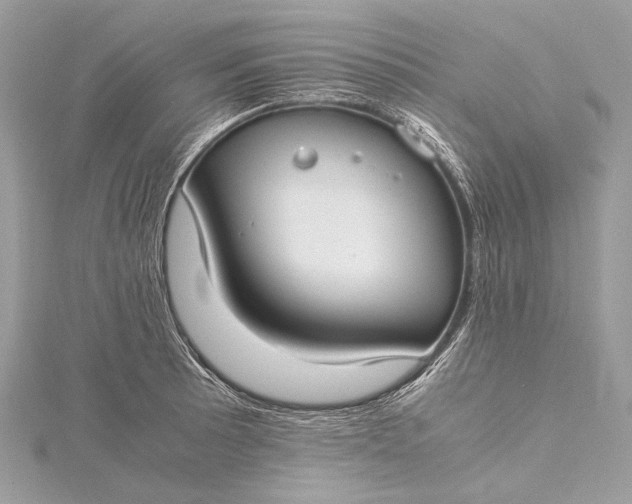 X0000115541089200911201735